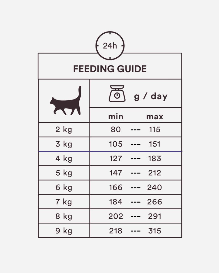 Guide til vådfoder kat 