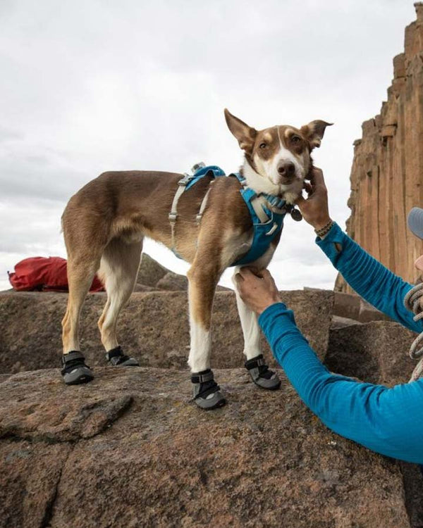 Ruffwear Grip Trex sko