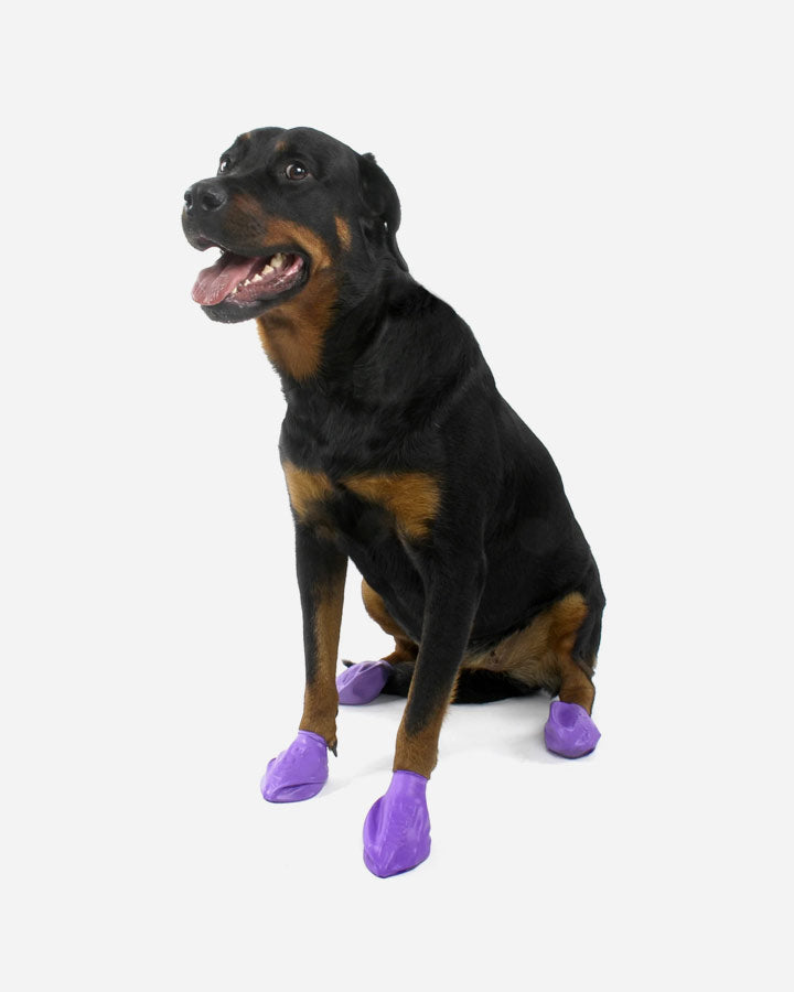 Hundesko - Ballonsko - Sko til hunden
