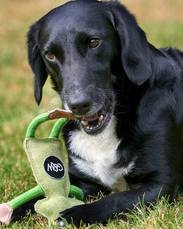 Legetøj til hunde