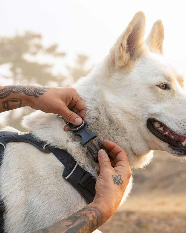 Ruffwear Front Range Halsbånd - Basalt Gray