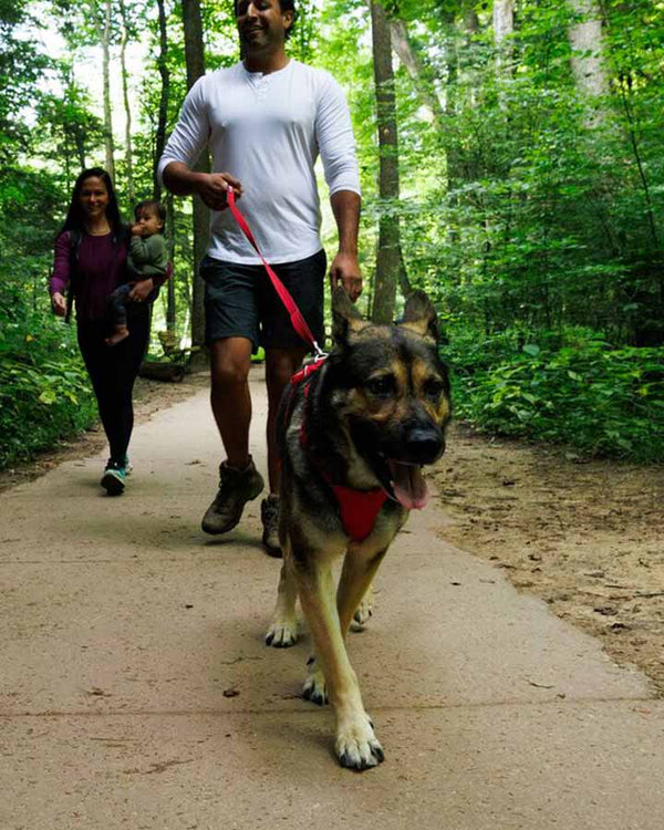 Ruffwear Front Range Halsbånd - Red Canyon