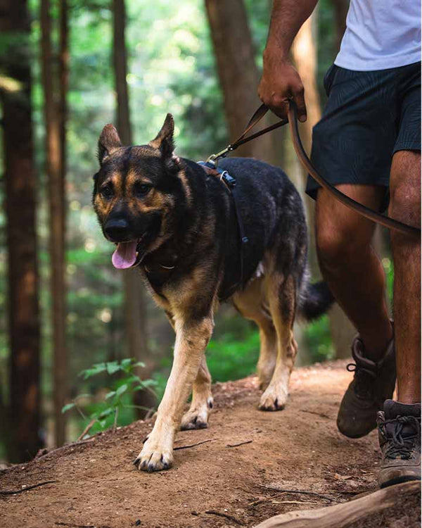 Ruffwear Front Range Halsbånd - Moonlight Fade