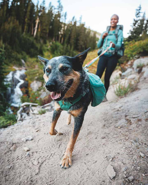 Ruffwear Front Range Halsbånd - River Rock Green