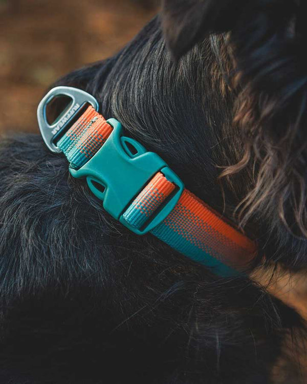 Ruffwear Front Range Halsbånd - Spring Fade