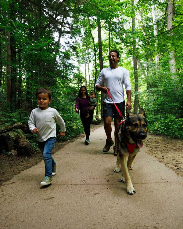 Ruffwear Front Range Førerline - Red Canyon