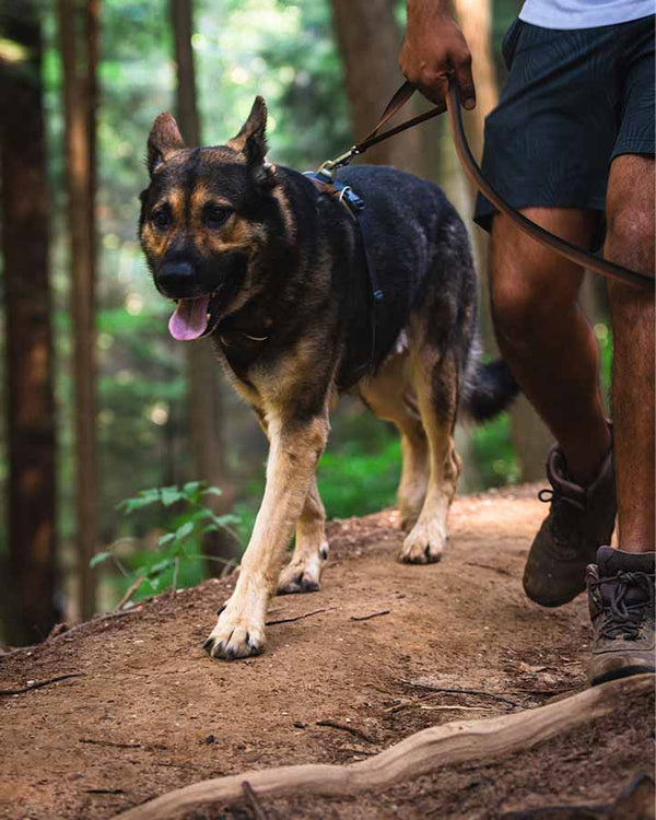 Ruffwear Front Range Førerline - Moonlight Fade