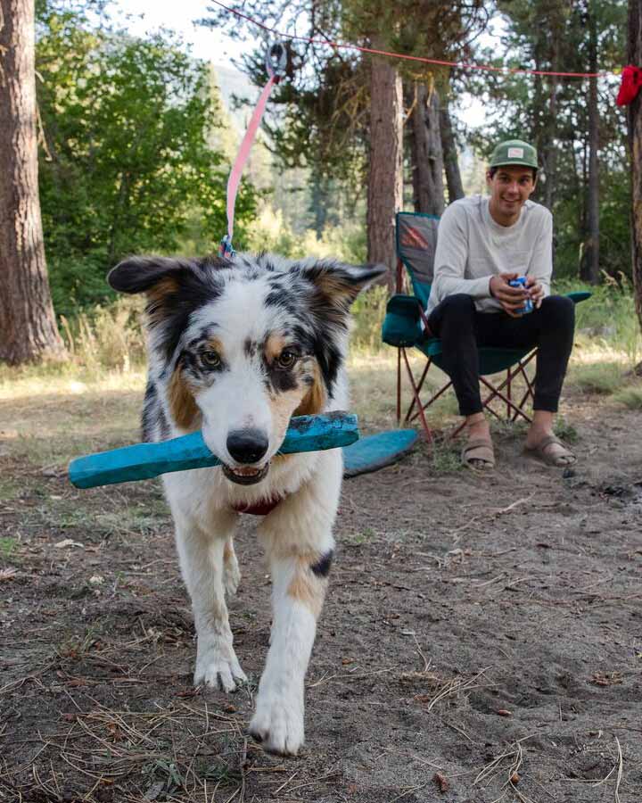 Ruffwear Gnawt-a-Stick - Blue Pool