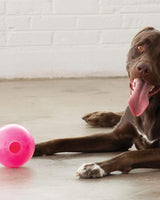 Aktivitetsbold Planet Dog Meazee - Pink