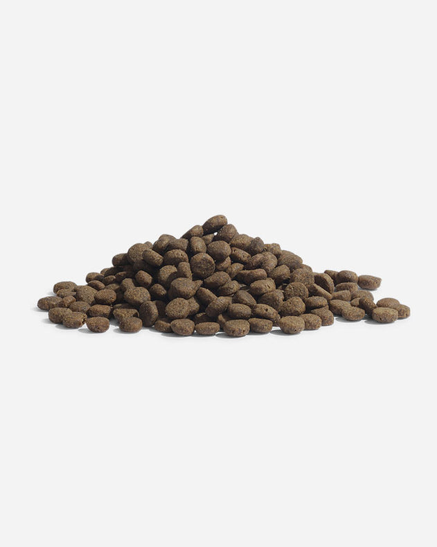 Essential The Panther (Kat) - Hvidfisk & Laks - 3kg