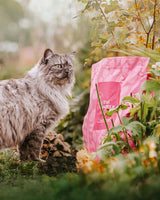 Essential Foods Panther Kattemad
