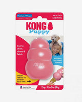 KONG Puppy Medium