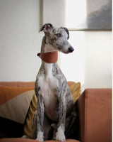 Soft greyhound halsbånd - Brun