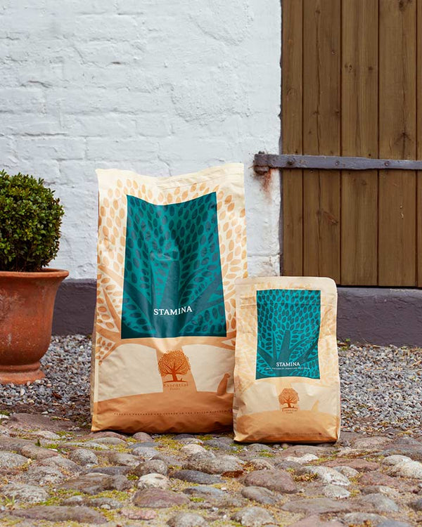 Essential Hundefoder fra Petlux → KØB flere poser & Spar 10-15%