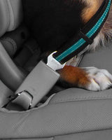 sikkerhedssele strop til hunde