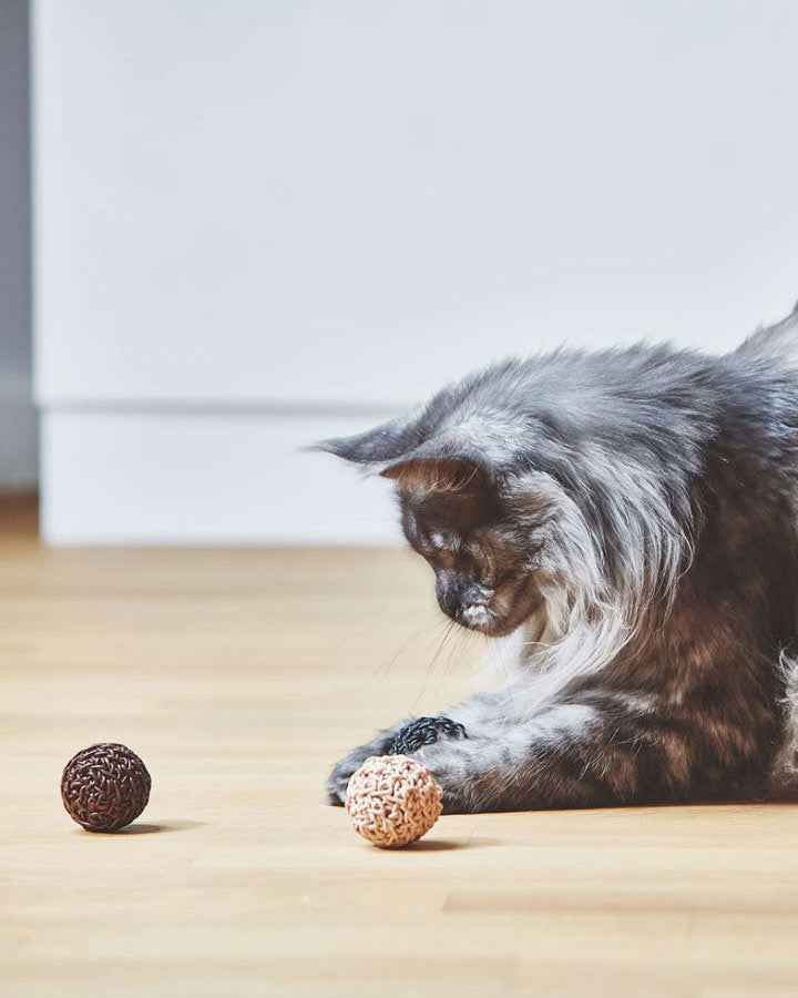 Filo katte legebolde fra MiaCara - 3 farver