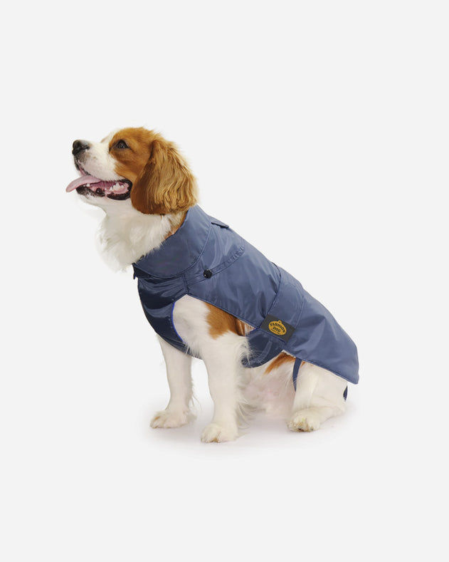 Blå regnjakke med aftageligt foer fra Fashion Dog - art.109