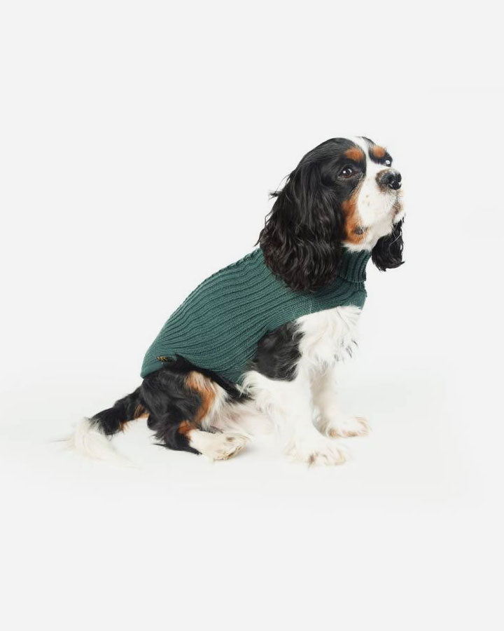 Grøn strikket hundesweater fra Fashion Dog - art. 303