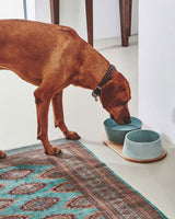 Hundeskåle i keramik - Doppio skålesæt (Pine)