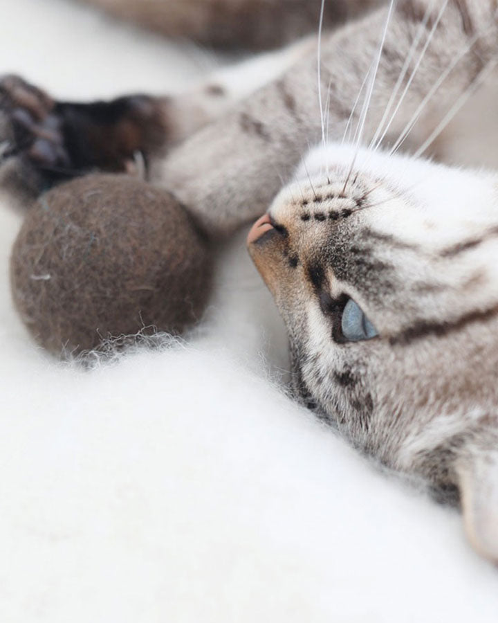 Kattelegetøj håndlavet af 100% naturlig filtuld - Globo 
