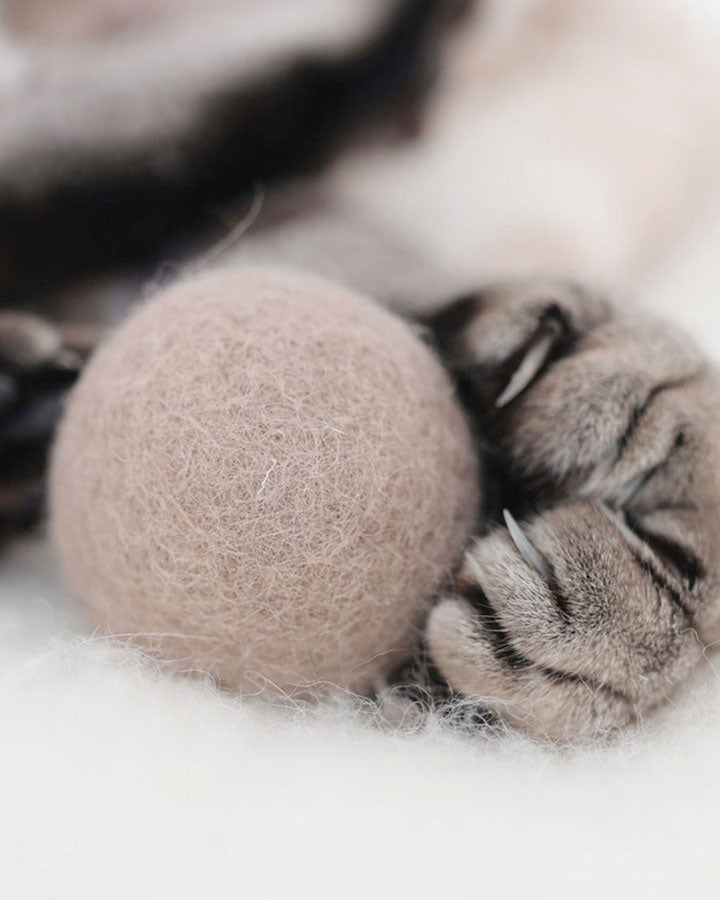 Miacara Globo - Kattelegetøj håndlavet af 100% naturlig filtuld 