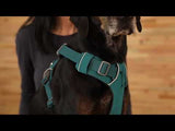 Ruffwear Front Range Sele - Twillight Grey