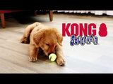KONG AirDog tennisbolde til hundeleg - 3 stk /2 stk.
