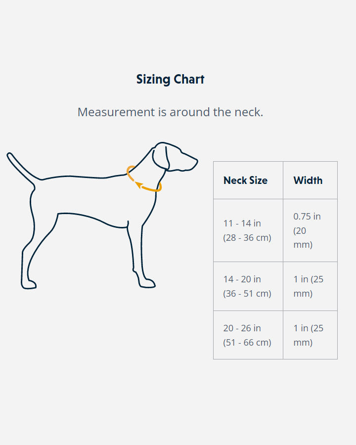 Ruffwear Front Range Halsbånd - Campfire Orange